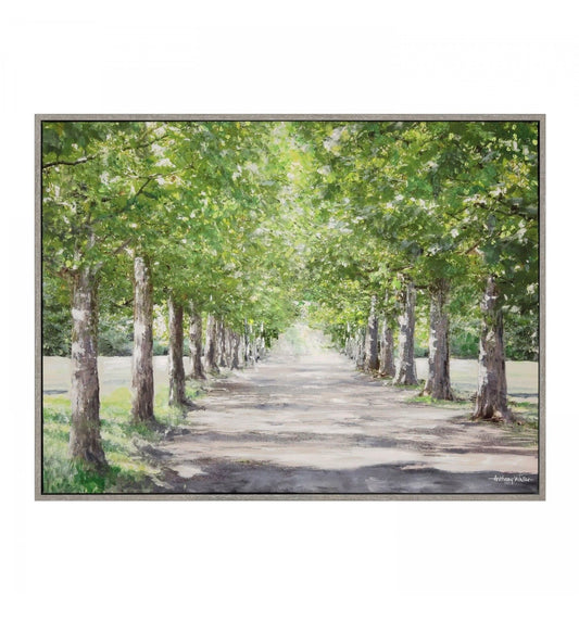 Avenue ofTrees Framed Canvas
