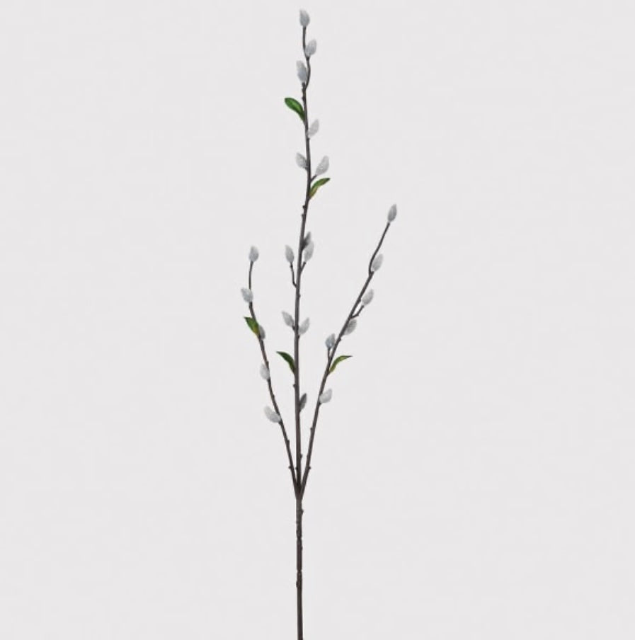 Pussy willow stem