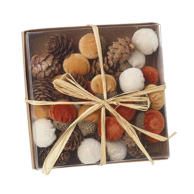 Acorns and pinecones set