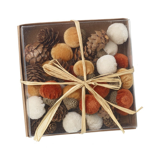 Acorns and pinecones set