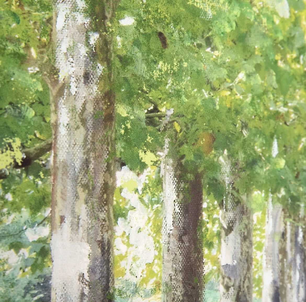 Avenue ofTrees Framed Canvas