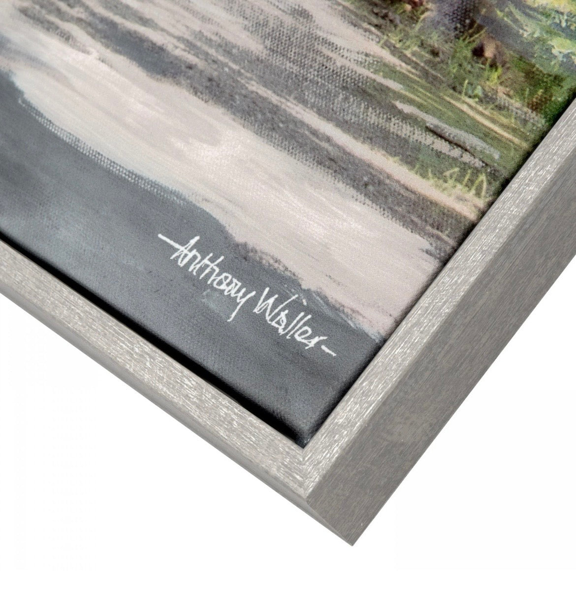Avenue ofTrees Framed Canvas