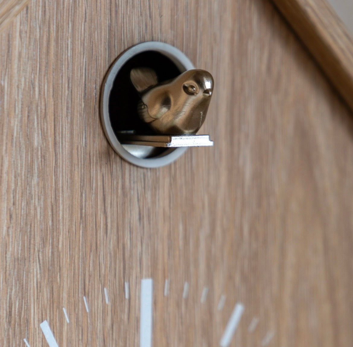 Cuckoo Clock