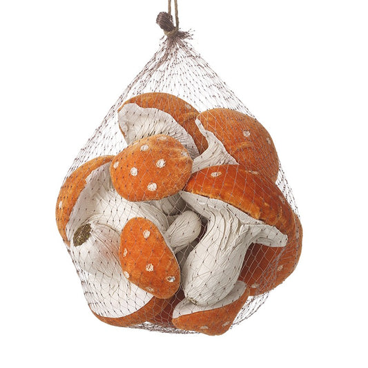 Bag of autumn toadstools