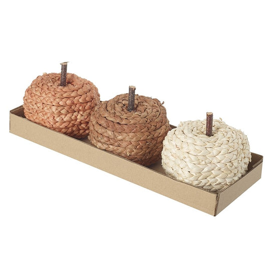 Set of 3 pumpkins