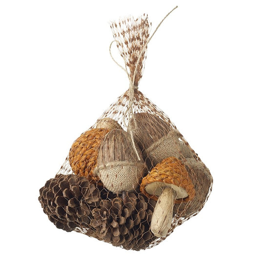 Autumn Acorns, Toadstools & Pinecones