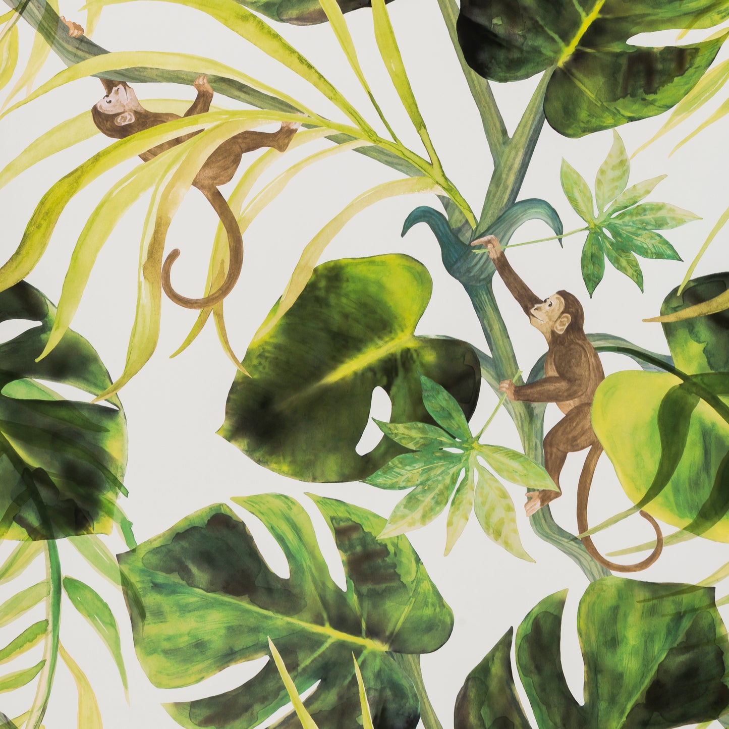 Monkey Business Wallpaper by Clarke & Clarke