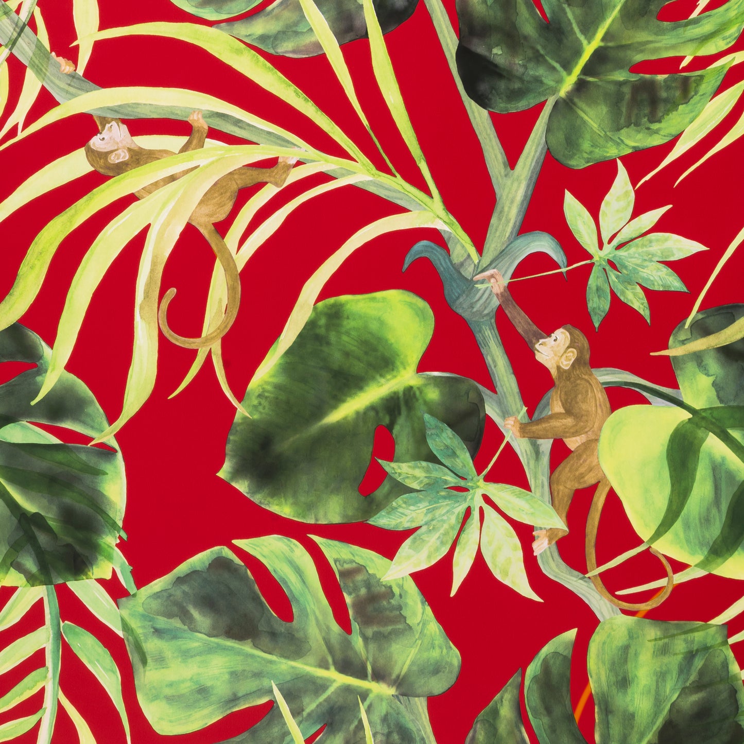 Monkey Business Wallpaper by Clarke & Clarke